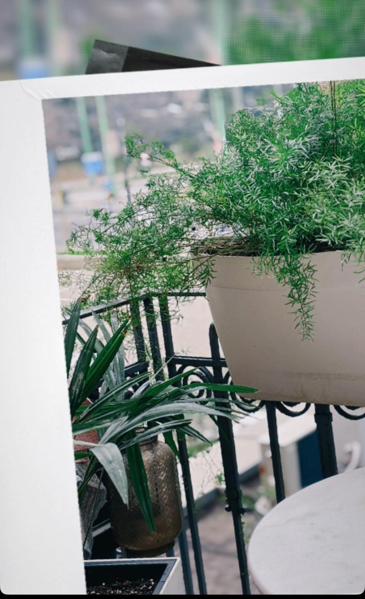 A Casa Di... Apartment มิลาน ภายนอก รูปภาพ